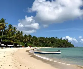 36 melhores agências e passeios na Bahia para sua viagem