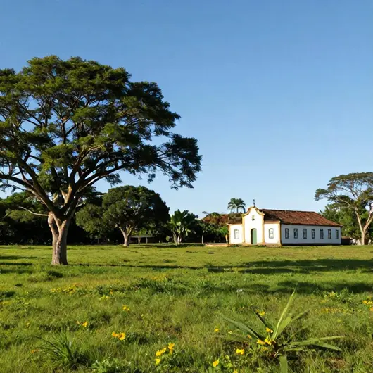 Descubra a Fazenda BoaVentura