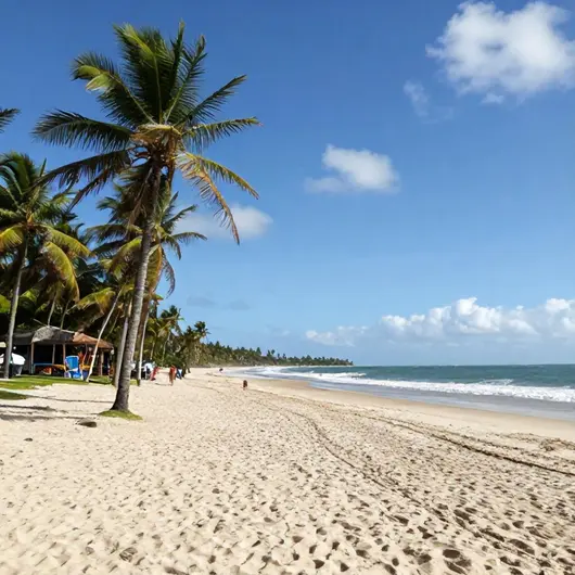 Descubra a Praia de Itacimirim