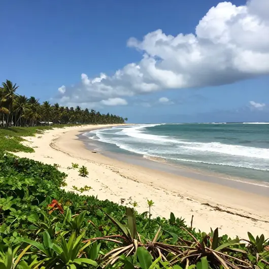 Descubra a Praia do Forte