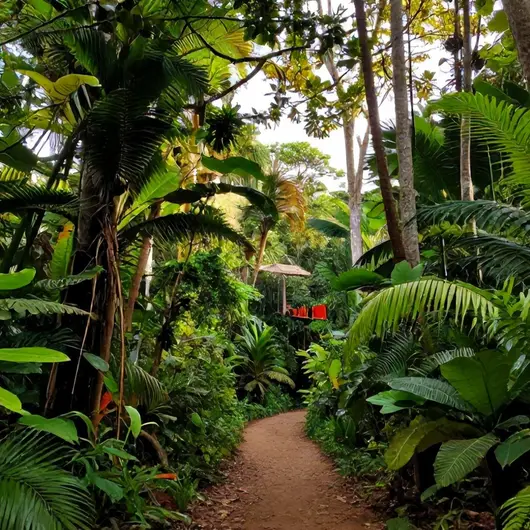 Descubra as Aventuras com salvadorecoturismoaventura