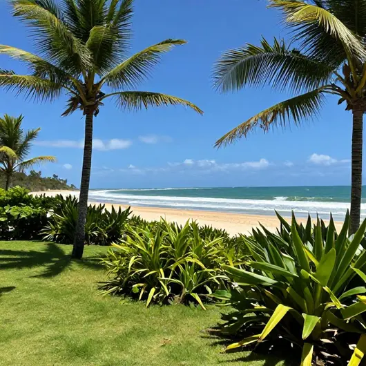 Descubra o Costa do Sauípe Resorts Salvador Descubra o Costa do Sauípe Resorts Salvador