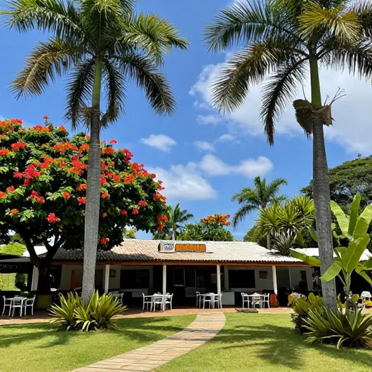 Descubra o Grou Turismo Itacaré Descubra o Grou Turismo Itacaré
