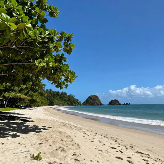 Descubra o Litoral Norte