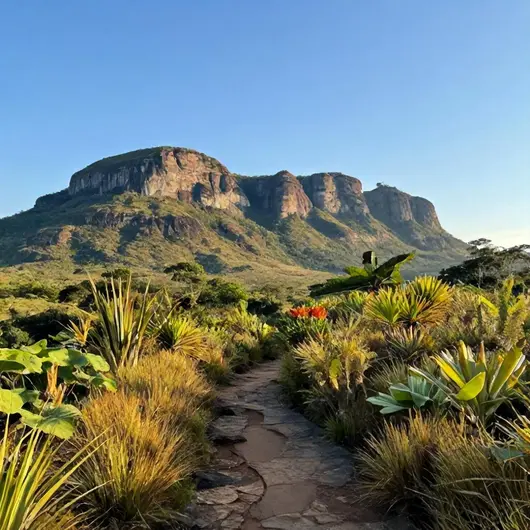 Descubra o Parque Nacional da Chapada dos Veadeiros