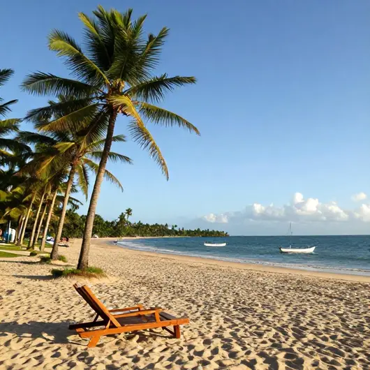 Descubra o South of Bahia Tour Private Multi Day Tour