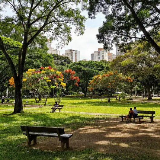 Descubra os Parques de Salvador