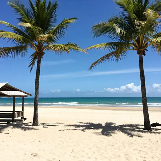 Descubra Porto Seguro Turismo