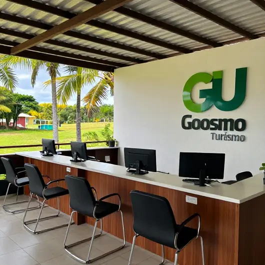 Grou Turismo: A Experiência Completa em Traslados Grou Turismo: A Experiência Completa em Traslados
