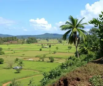Projeto Solo Cidadão reúne instituições pela regularização fundiária na Bahia com participação da PGE